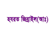 সম্মাানিত ফেরেশতা হযরত জীবরাইল আমিন (আঃ) কি ভুল করেছিলেন ?