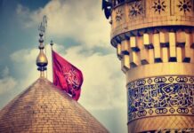 কারবালা প্রান্তরে শীয়ারাই ইমাম হোসেনকে (আঃ) হত্যা করেছে —-